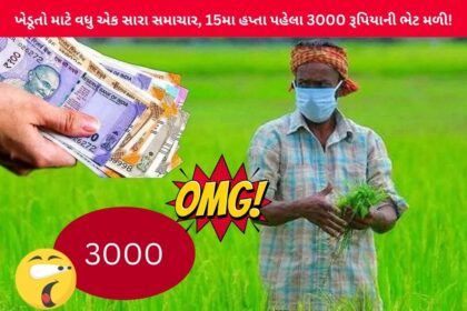 ખેડૂતો માટે વધુ એક સારા સમાચાર, 15મા હપ્તા પહેલા 3000 રૂપિયાની ભેટ મળી!