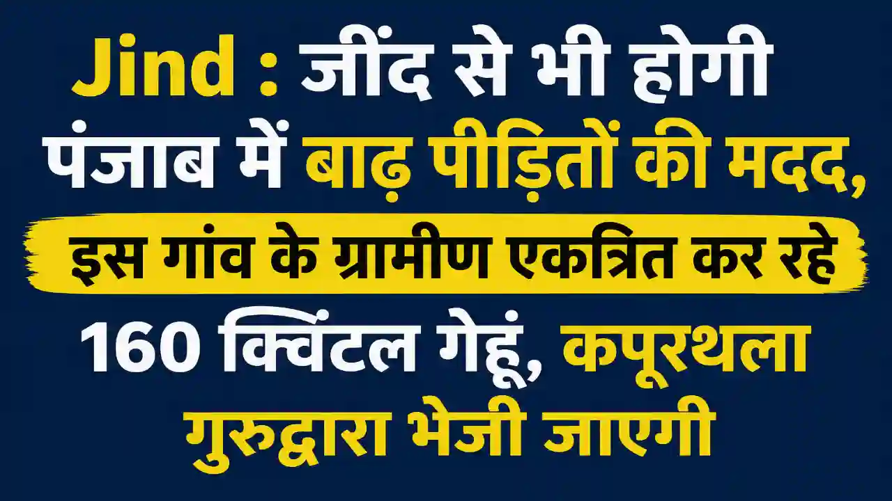 Jind : जींद से भी होगी पंजाब में बाढ़ पीड़ितों की मदद, इस गांव के ग्रामीण एकत्रित कर रहे 160 क्विंटल गेहूं, कपूरथला गुरुद्वारा भेजी जाएगी