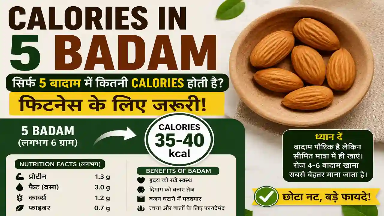 Calories In 5 Badam – सिर्फ 5 बादाम में कितनी Calories होती है? फिटनेस के लिए जरूरी!