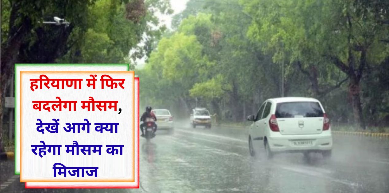 Haryana Ka Mausam Haryana Weather Change Rain Alert
