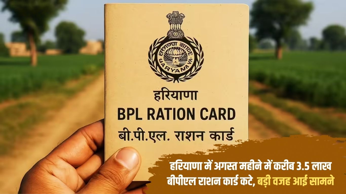 Haryana Ration Card big update 3.5 lakh BPL ration cards cut