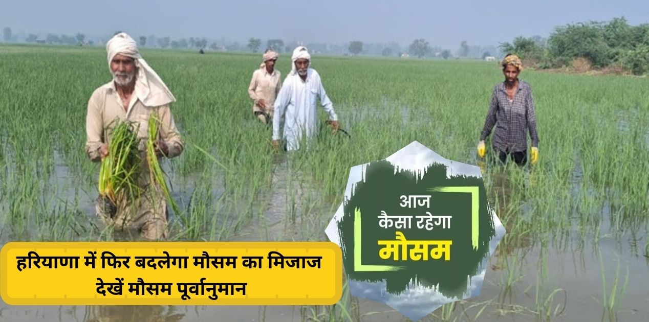 Haryana Weather Change Update aaj ka mausam kal ka mausam