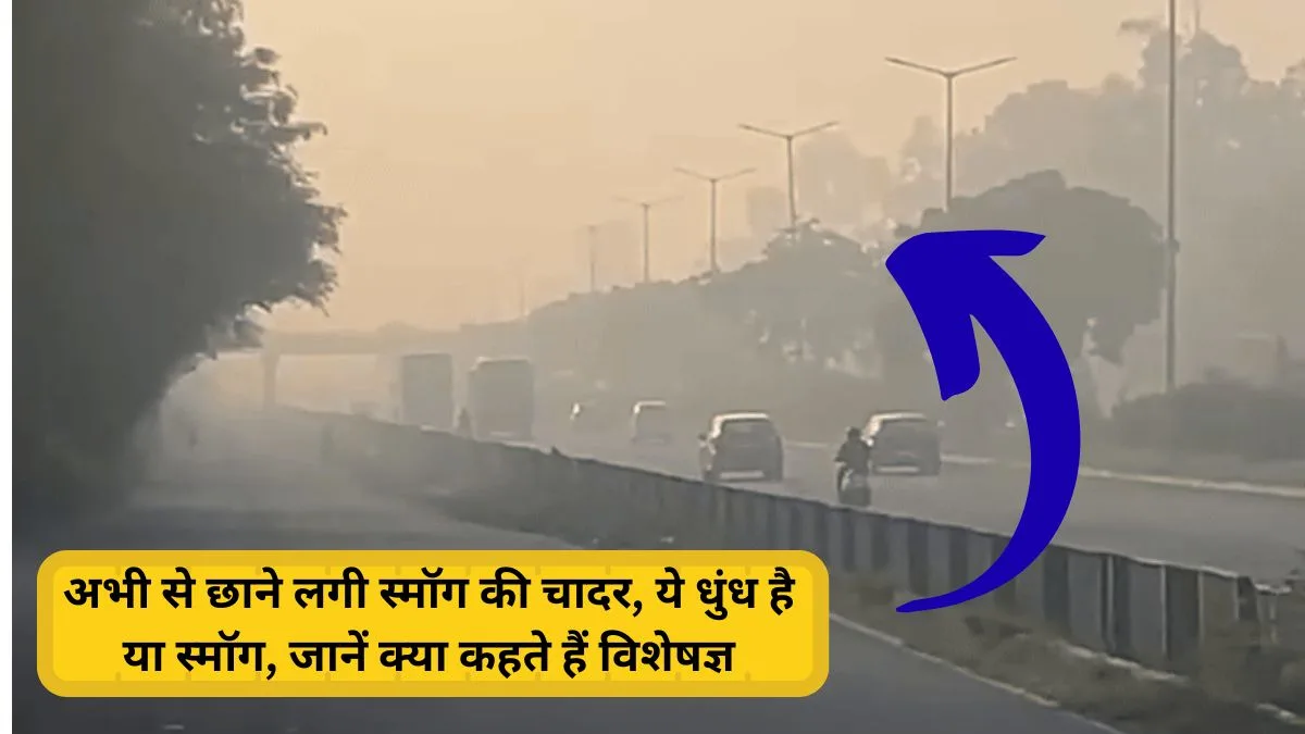 Haryana weather Fog or Smog mausam update