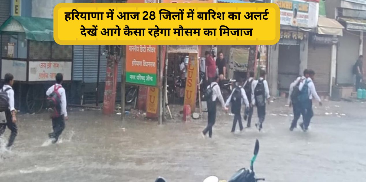 Haryana weather update aaj ka mausam kal ka mausam