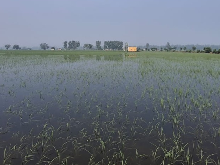 WhatsApp Image 2025-09-02 at 12.51.47 PM