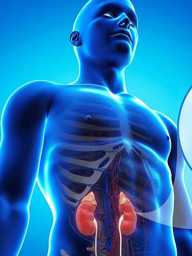 Kidney disease is increasing rapidly, these foods can become the protectors of your health