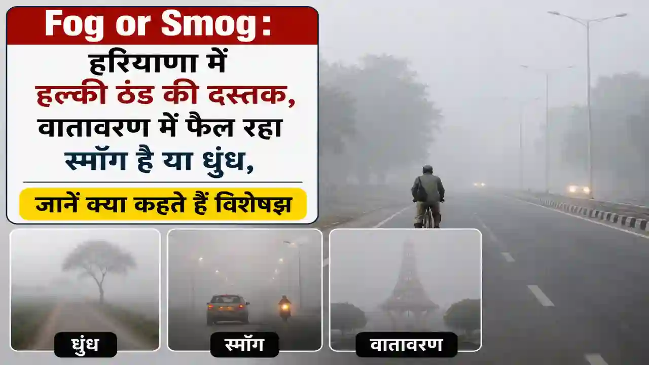 Fog or Smog : हरियाणा में हल्की ठंड की दस्तक, वातावरण में फैल रहा स्मॉग है या धुंध, जानें क्या कहते हैं विशेषज्ञ
