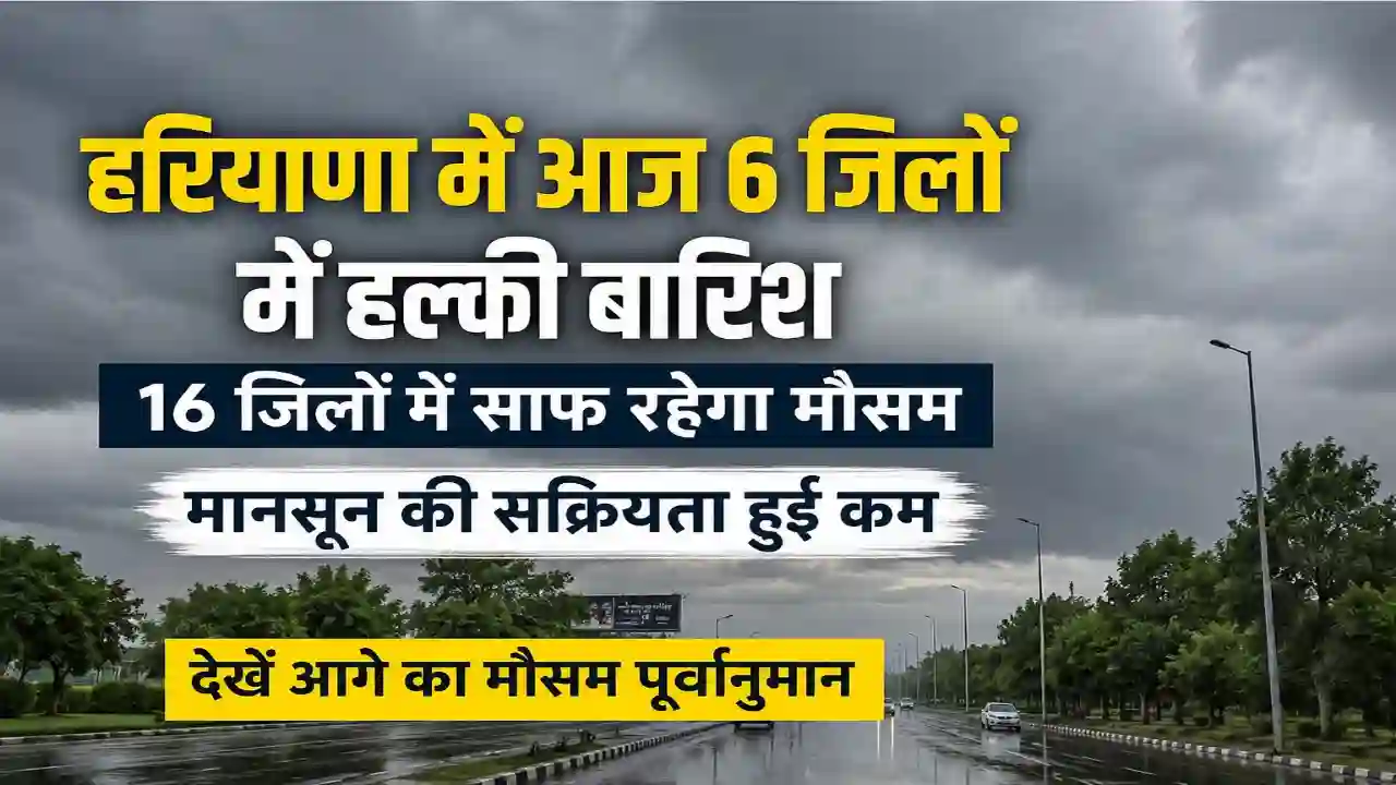 Haryana Weather update : हरियाणा में आज 6 जिलों में हल्की बारिश, 16 जिलों में साफ रहेगा मौसम, मानसून की सक्रियता हुई कम, देखें आगे का मौसम पूर्वानुमान