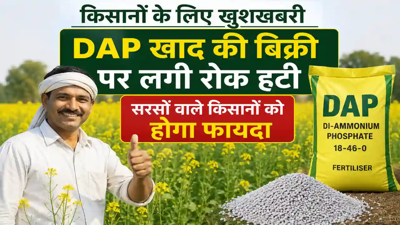 DAP fertilizer : किसानों के लिए खुशखबरी, DAP खाद की बिक्री पर लगी रोक हटी, सरसों वाले किसानों को होगा फायदा