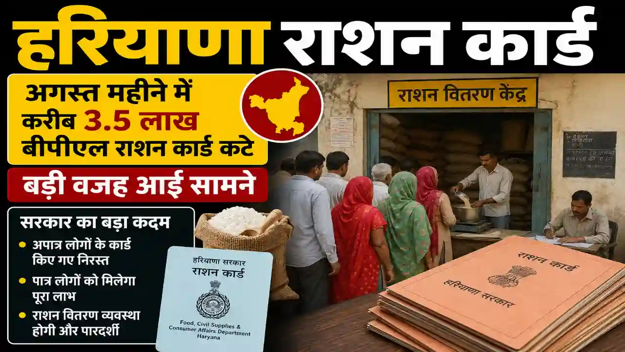 Haryana Ration Card : हरियाणा में अगस्त महीने में करीब 3.5 लाख बीपीएल राशन कार्ड कटे, बड़ी वजह आई सामने
