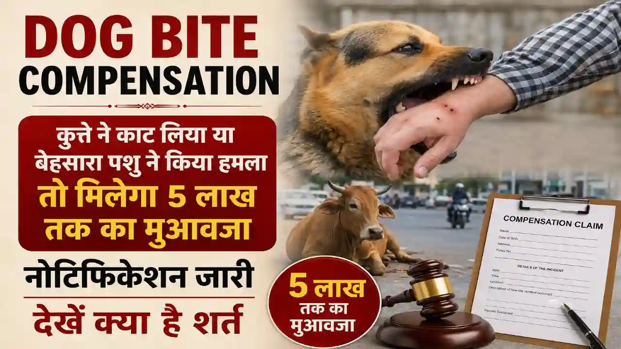 Dog Bite Compensation : कुत्ते ने काट लिया या बेहसारा पशु ने किया हमला तो मिलेगा 5 लाख तक का मुआवजा, नोटिफिकेशन जारी, देखें क्या है शर्त,