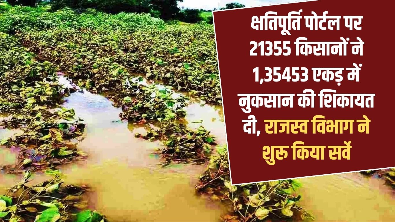 21355 farmers complained about damage to 1,35453 acres on the compensation portal, Revenue Department started survey
