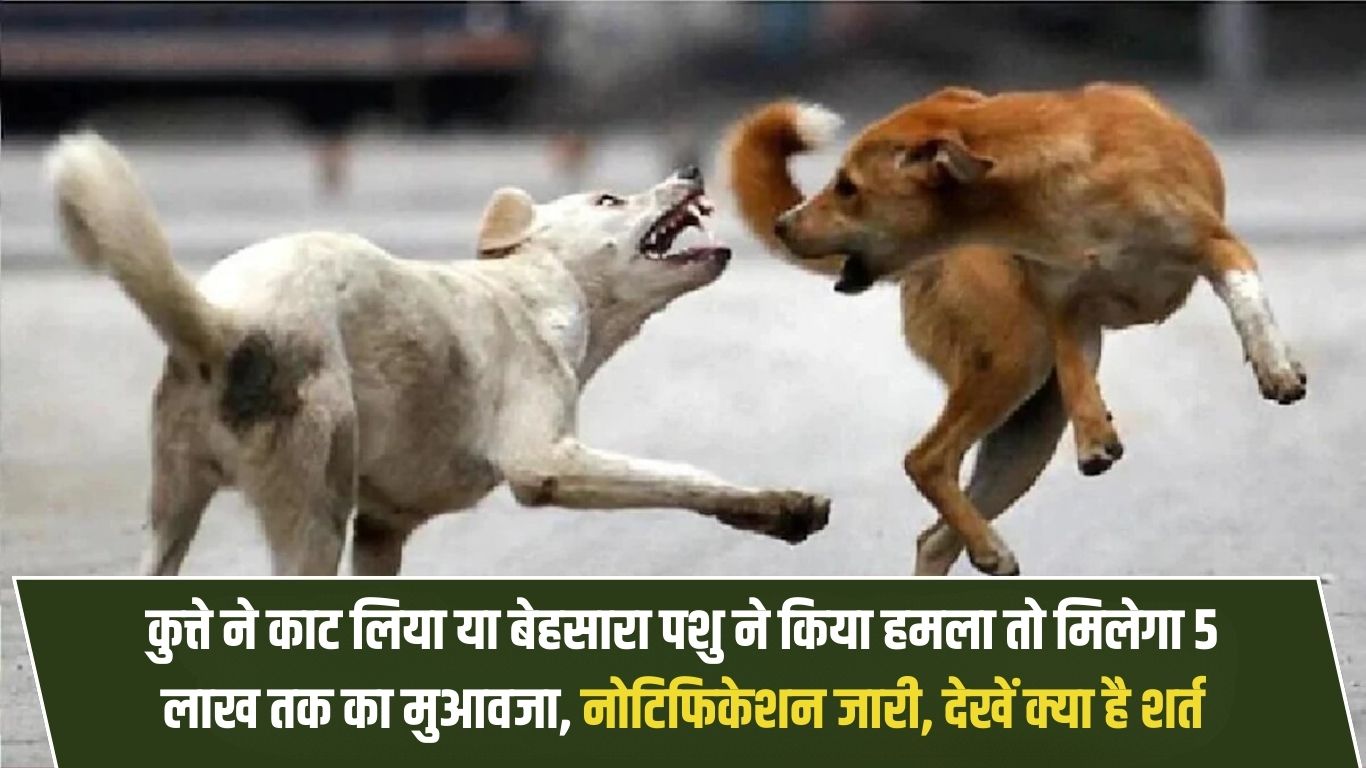 If you are bitten by a dog or attacked by a stray animal, you will get compensation up to Rs 5 lakh, notification issued, see what are the conditions