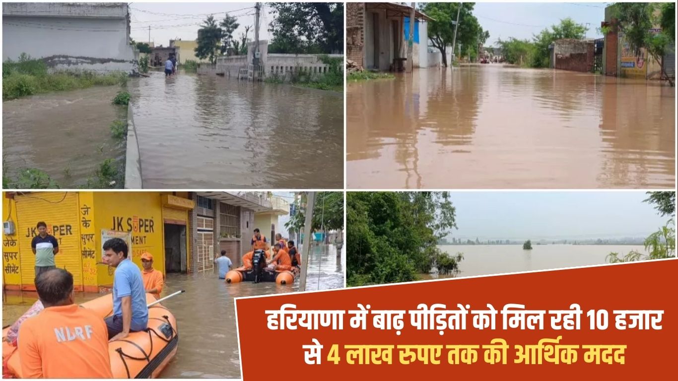 Haryana Floods Relief Scheme: Flood victims in Haryana are getting financial assistance ranging from Rs 10,000 to Rs 4 lakh.