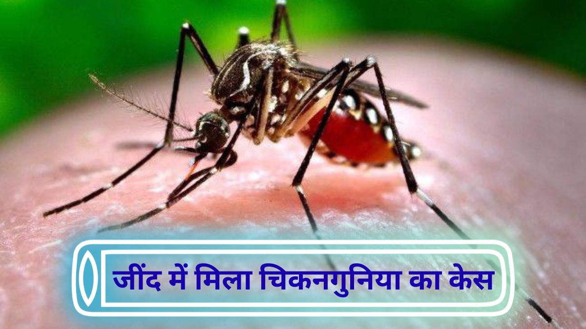 Jind chikungunya case one also dengue positive