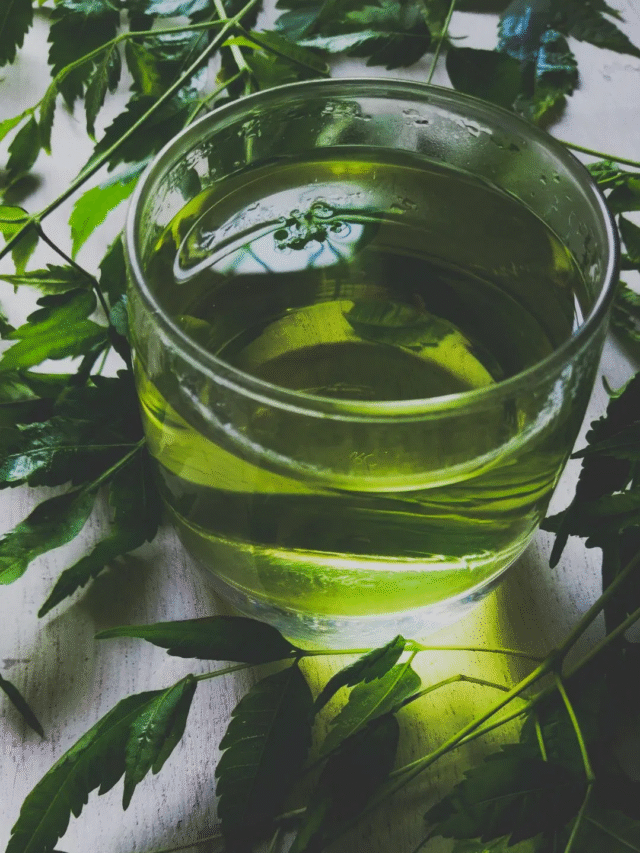 प्रतिदिन नीम की पत्तियों का पानी पीने के फायदे