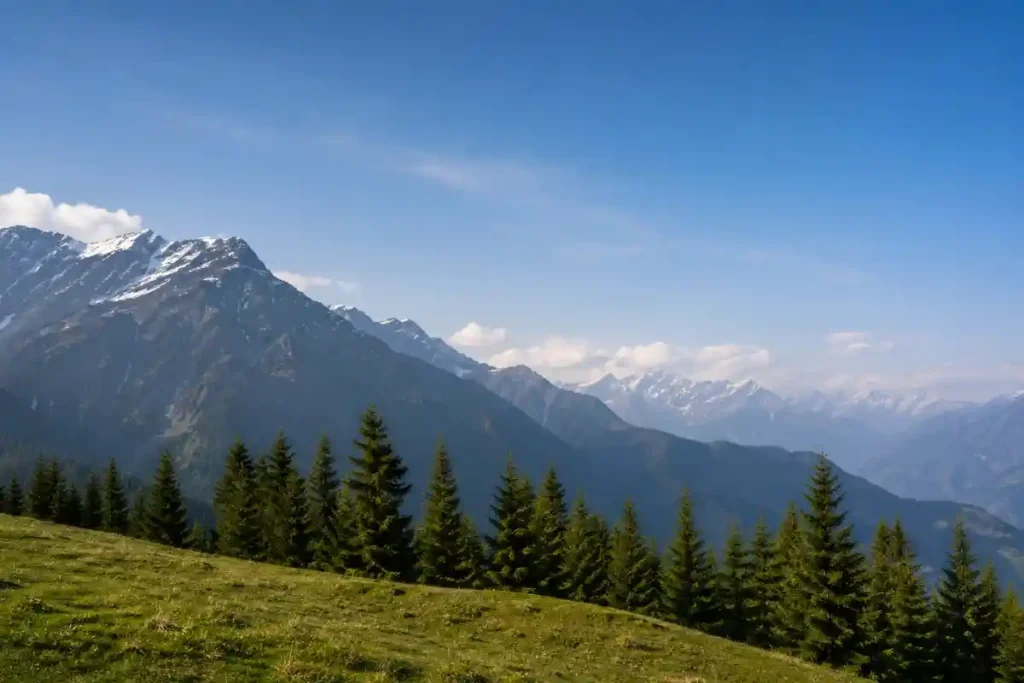 नीति निर्माण में गंभीर खामियां Himachal Politics