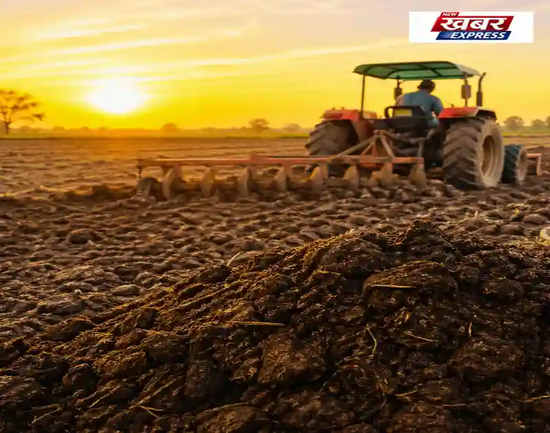 (Cow Dung Manure)गोबर की खाद: मिट्टी को बना देती है सोना, जानिए कैसे!