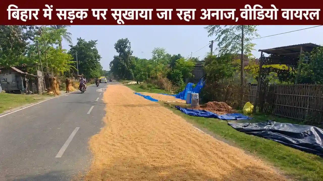 सड़क पर सुखाया अनाज: Bihar Viral Video