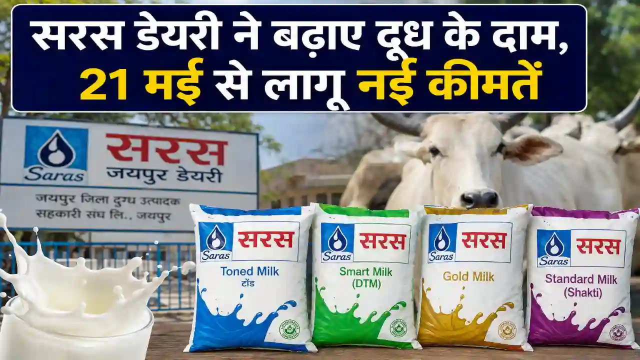 Saras Dairy Milk Price Hike: राजस्थान को बड़ा झटका, 2 रुपये बढ़े दूध के दाम