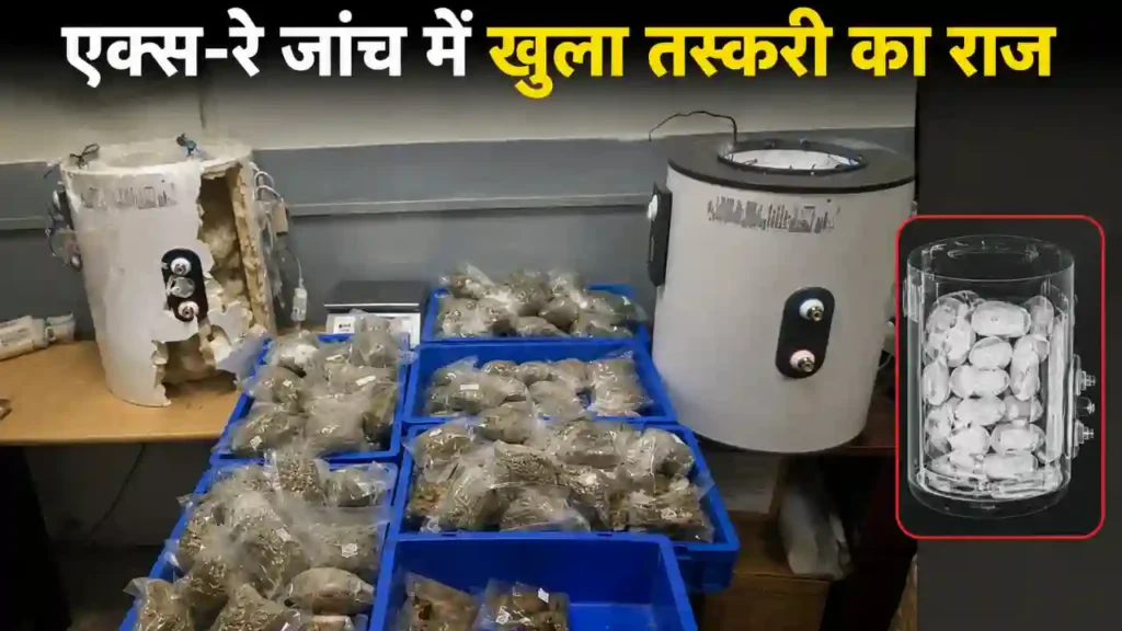 IGI Airport News: गीजर के अंदर छिपाकर लाई जा रही 15.38 किलो हाइड्रोपोनिक गांजा बरामद एक्स-रे जांच में तस्करी का खुला बड़ा राज -IGI Airport News