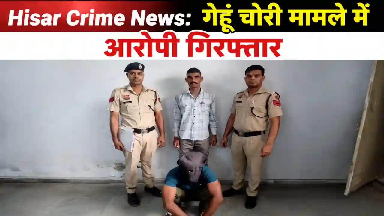 Home Page Hisar Crime News: गेहूं चोरी मामले में आरोपी गिरफ्तार
