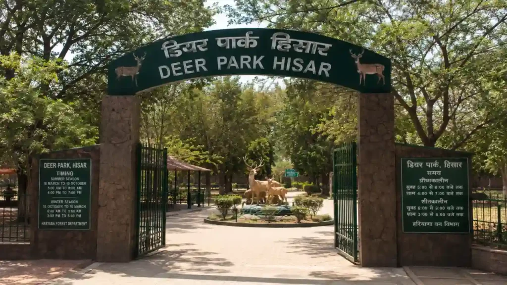 Tourist Places in Hisar: हिसार में घूमने की 10 सबसे खास जगहें, बस स्टैंड से कितनी दूर? डियर पार्क