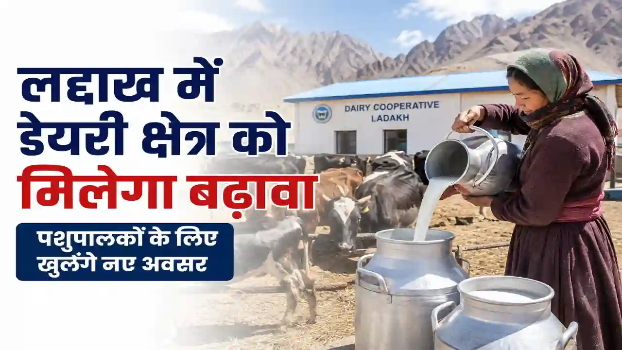 Home Page Ladakh Dairy Development: डेयरी क्षेत्र को मिलेगा बढ़ावा, पशुपालकों के लिए खुलेंगे नए अवसर