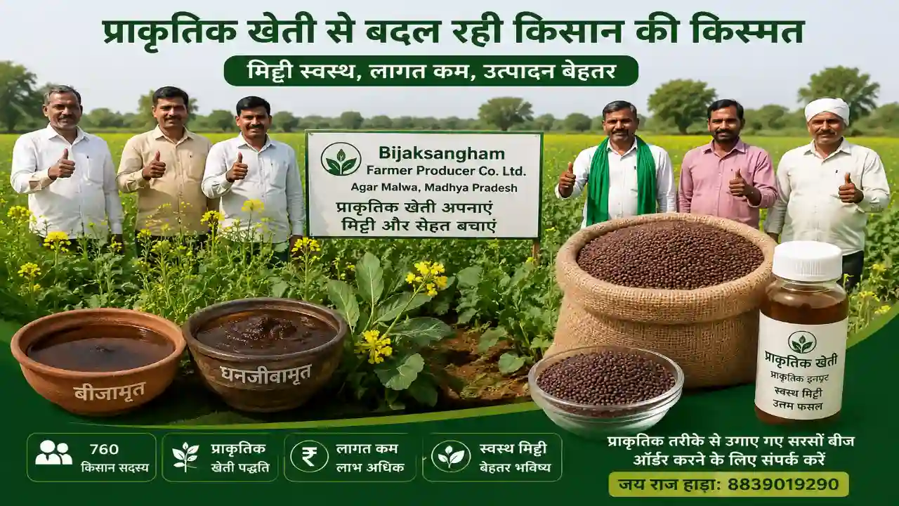 Natural Farming: आगर मालवा में प्राकृतिक खेती को बढ़ावा, 760 किसान अपनाकर घटा रहे खेती की लागत